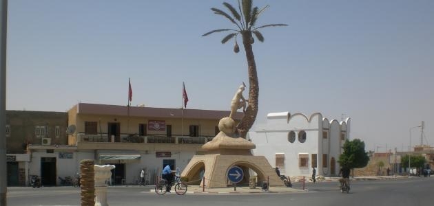 من أهدافه تنمية قطاع التمور والخضروات.. تأسيس مجمع “إرادة الحياة بقبلي”