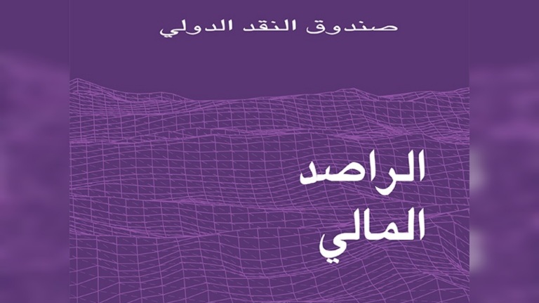 صندوق النقد الدولي يدعو الى تحقيق الاتساق بين السياسات المالية والنقدية (تقرير الراصد المالي)