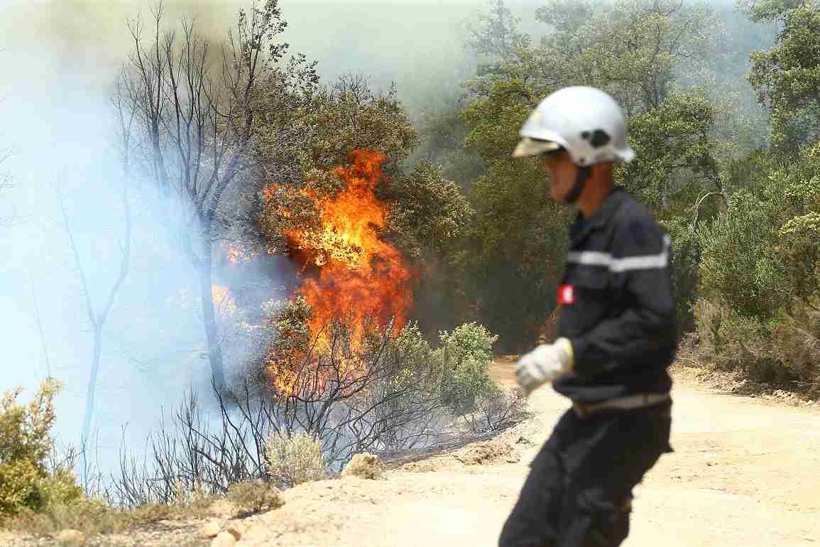 القيروان: السيطرة على حريق عين جلولة