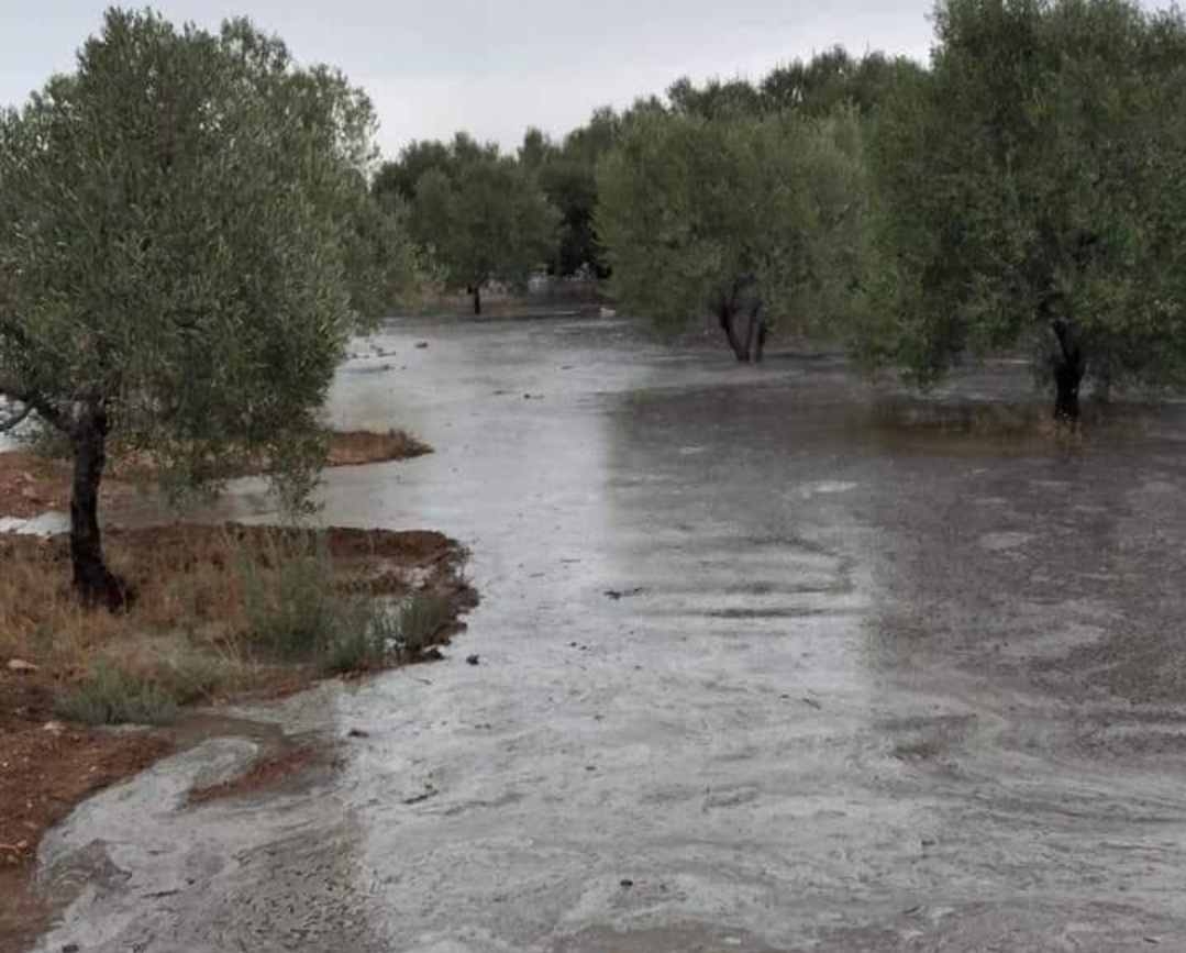 القصرين: أمطار غزيرة صباح اليوم و اللجنة الجهوية في حالة إنعقاد دائم