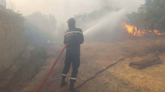 جندوبة: إجلاء 7 عائلات و تسجيل أضرار بشبكة الكهرباء بملولة بسبب النيران