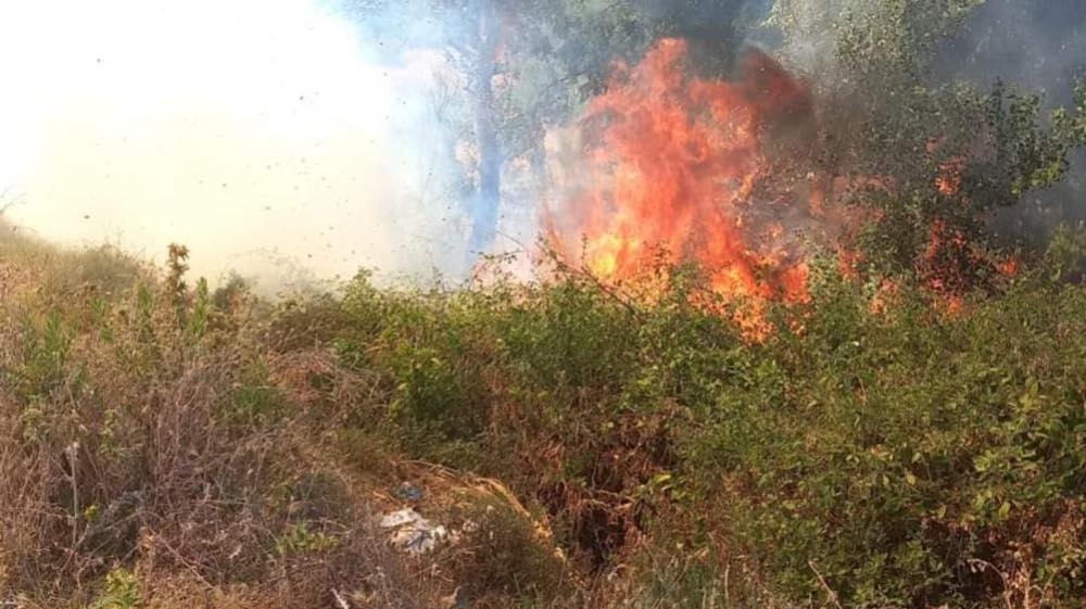 باجة: اندلاع حريق في نفزة