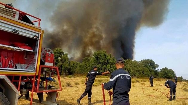 جندوبة: السّيطرة على حريق نشب في غابة قرب الحدود الجزائرية