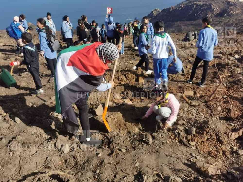 جندوبة: حملة تشجير بغابات ملولة المحترقة (صور)