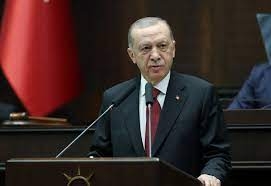 أردوغان: المنظمات الدولية تصبح عاجزة وظيفيا وعمياء عندما يكون القتلى مسلمين”