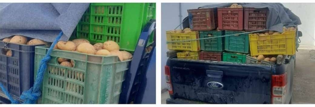 وزارة التجارة : حجز طن ونصف من البطاطا المعدة للاحتكار والمضاربة