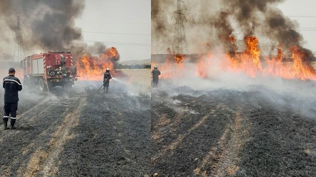 جندوبة: اندلاع حريق بحقل قمح (صور)