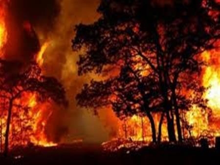الولايات المتّحدة: إجلاء 5 آلاف شخص من منازلهم جراء حرائق الغابات