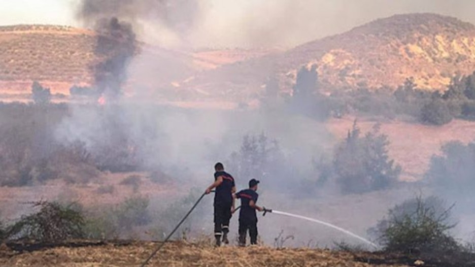 أريانة: إطفاء حريق اندلع بجبل النحلي