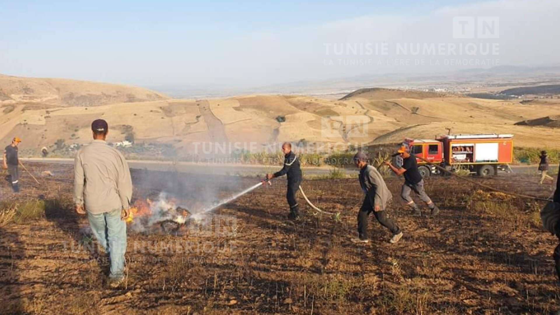 جندوبة: تفاديا للحرائق.. دعوة الفلاحين لتوخي الحذر خلال عملية الحصاد