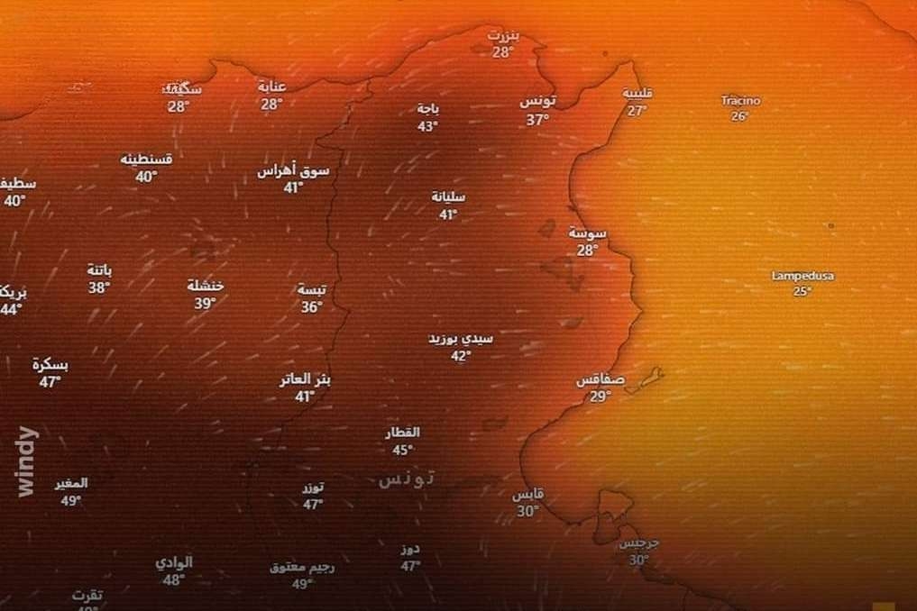 نشرة متابعة للرصد الجوي.. تواصل ارتفاع درجات الحرارة بعد الظهر