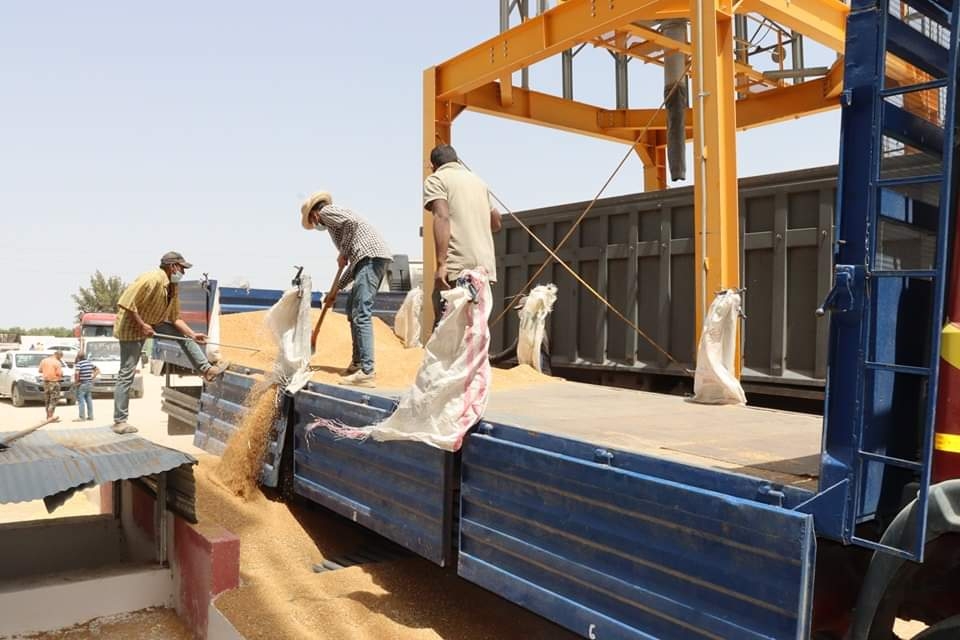 القيروان: زيارة متابعة لعملية تجميع الحبوب بالجهة [فيديو]