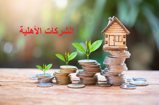 الإتفاق على توطين الشّركات الأهليّة التّي لا تتوفر على مقرّ بمؤسّسات وكالة النّهوض بالصّناعة