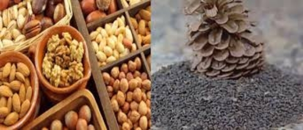 تونس: انطلاق مراقبة محلات بيع الزقوقو والفواكه الجافة استعدادا للمولد النبوي الشريف