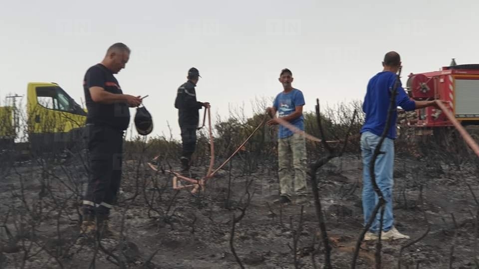 جندوبة: إندلاع حريق بأحد غابات حمام بورقيبة [صور]