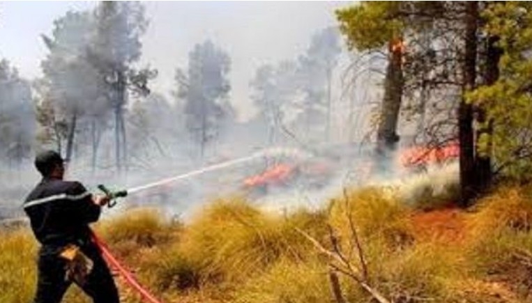 باجة : السيطرة على حريق اندلع بغابة جبل عين بلوين