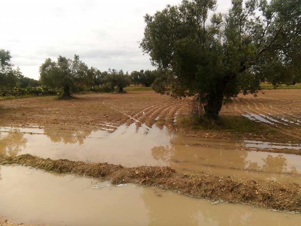 شملت 22 ولاية..القائمة النهائية لكميات الأمطار المُسجلة خلال الـ24 ساعة الأخيرة
