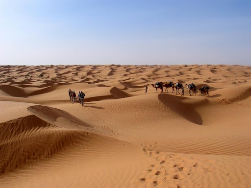 بداية من 3 ديسمبر: توزر تحتضن الصالون الدّولي الأول للسياحة الواحية والصحراوية