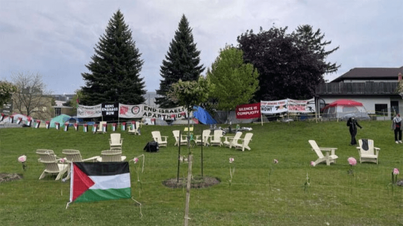 لدعمهم فلسطين.. جامعة كندية ترفع دعوى قضائية ضد طلابها