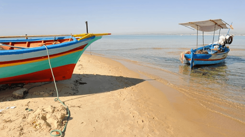 سحب قليلة بأغلب الجهات وكثيفة بالسواحل الشمالية