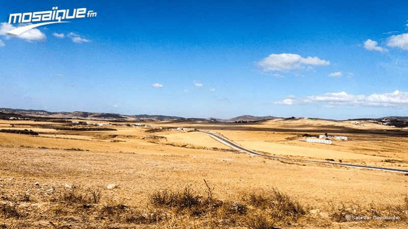 درجات الحرارة تصل إلى 48 بالجنوب الغربي مع ظهور الشهيلي