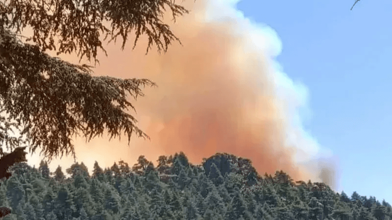 Siliana: Un incendie dans une forêt du mont Bayadh