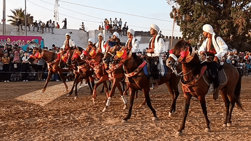 مهرجان عقارب للفروسية.. شيخ المهرجانات بخصوصيته المميّزة