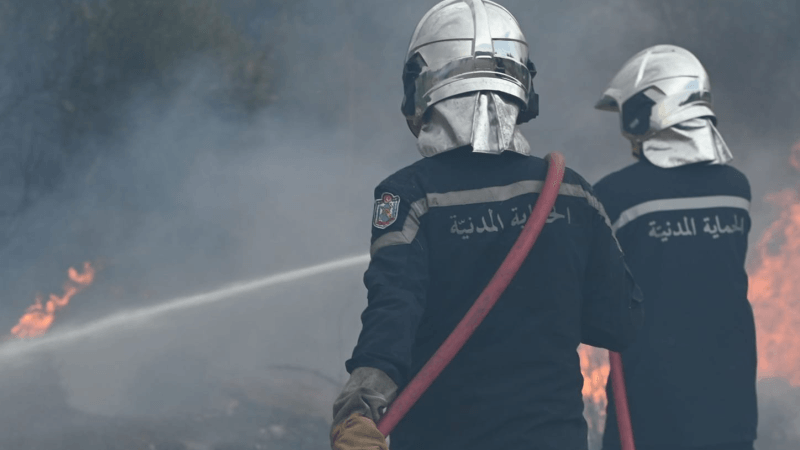 سجنان..السيطرة على حريق أتى على 25 هكتارا من الغطاء الغابي