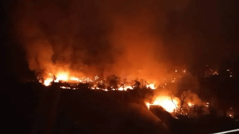 Algérie : Des feux de forêt dans la région de Kabylie