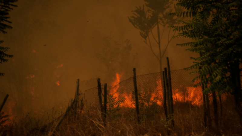 Nouvel incendie majeur à Rome : quatre secouristes grièvement blessés