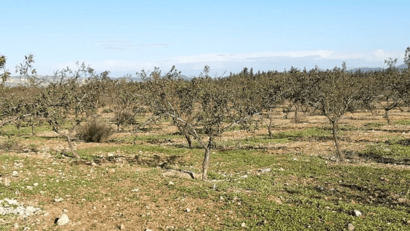 سليانة الأولى وطنيا في استرجاع العقارات الدوليّة الفلاحية