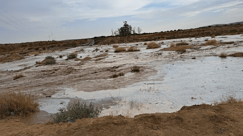 القصرين: فيضان عدد من الأودية ولجنة مجابهة الكوارث في انعقاد دائم