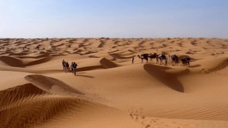 توزر: معرض دولي للسياحة الواحية والصحراوية بداية شهر ديسمبر