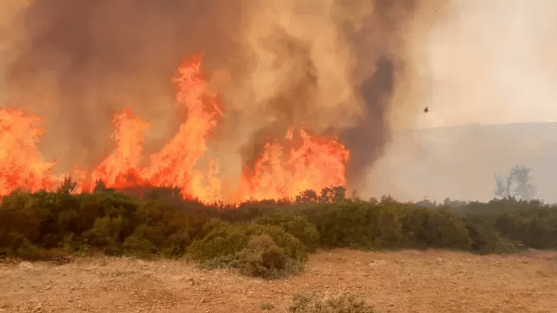 Ain Drahem: Un incendie dans la fôret de Chaarâa