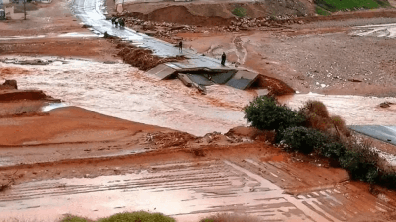 سيول قاتلة في المغرب والجزائر..أي تأثير للظواهر الاستوائية على تونس؟