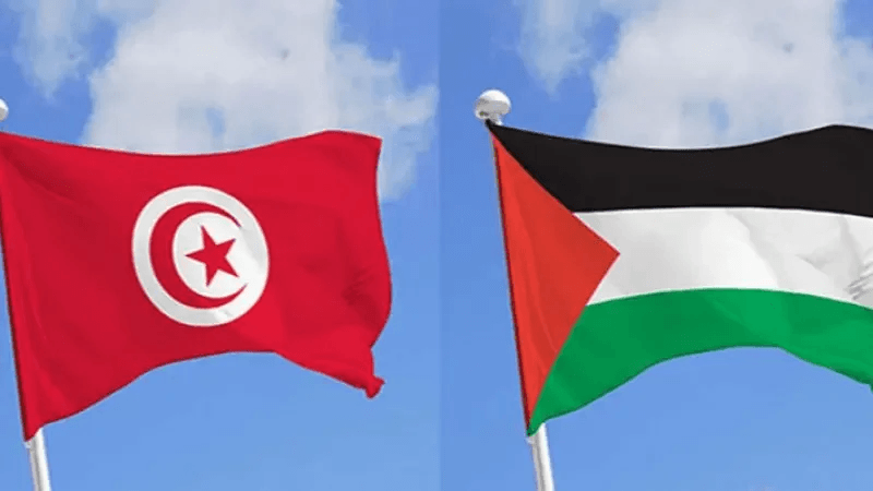 Palestine: la Tunisie vote pour l’avis de la CIJ