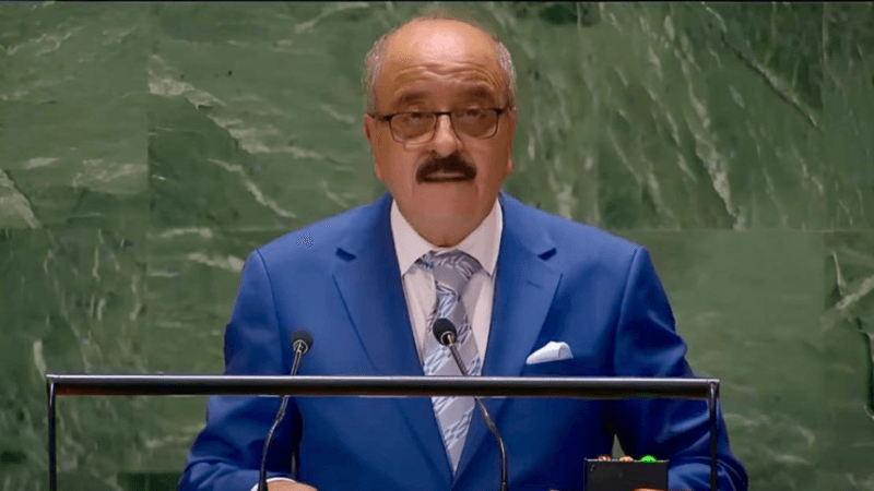 Sommet de l'avenir:La Tunisie appelle au respect de la Charte de l'ONU