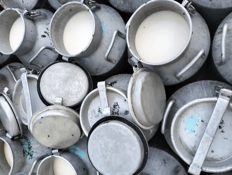 Sidi Bouzid: Mille litres de lait contaminé aux antibiotiques