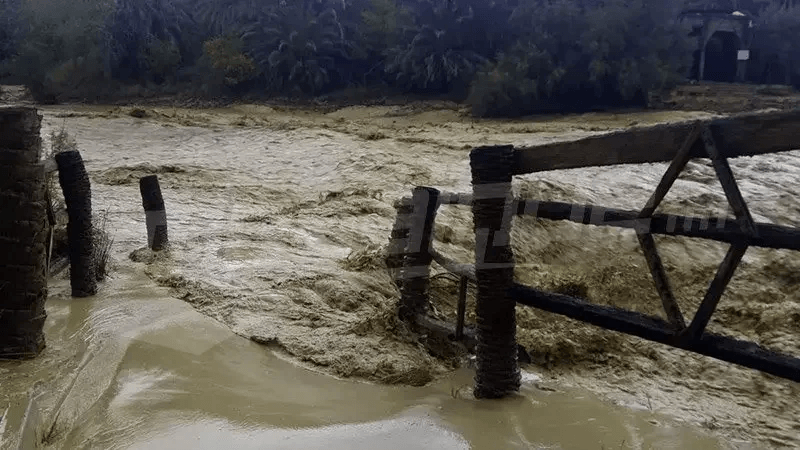 Intempéries à Tataouine: Le comité des catastrophes à pied ďoeuvre