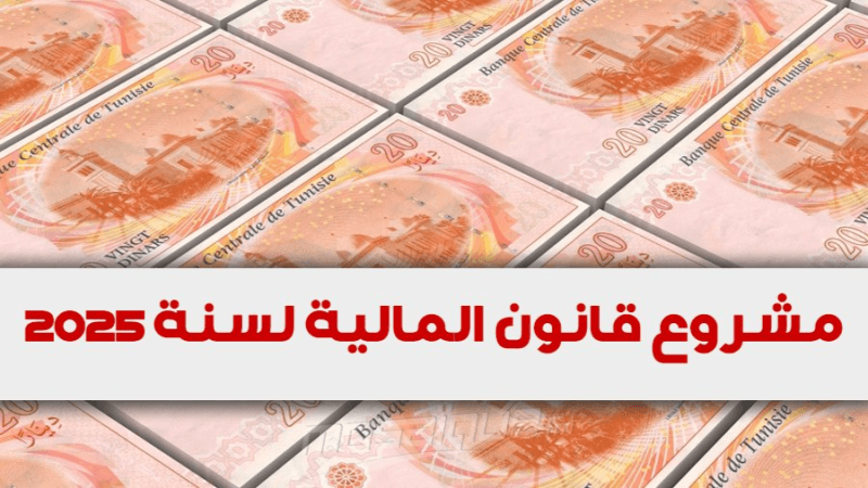 مشروع قانون المالية: 20 مليون دينار إضافية لتمويل الشركات الأهلية