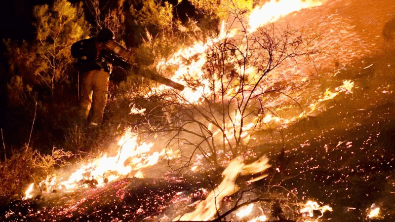 Des drones du Hezbollah sur le Nord ď'Israël