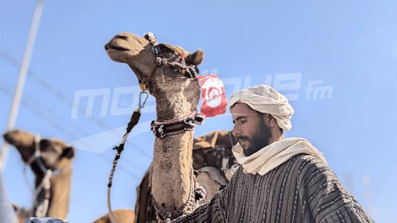 الدورة السابعة من مهرجان الغربوز ببني خداش : إحياء ثقافة التين