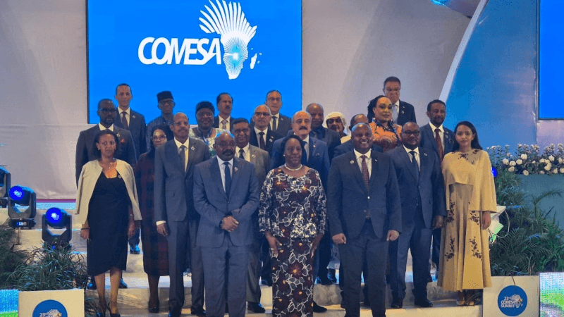 Mohamed Ali Nafti participe à la 19e session du COMESA