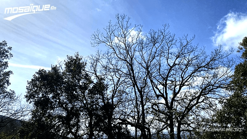 Météo: Températures stables...