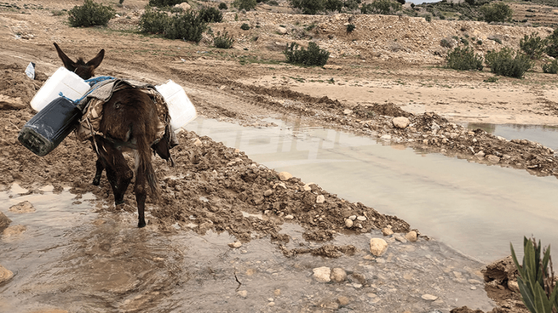 سليانة: أهالي الكحيلات يطالبون بفك عزلتهم وتهيئة المسالك الفلاحية