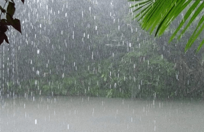 Des pluies abondantes dans plusieurs régions de la Tunisie