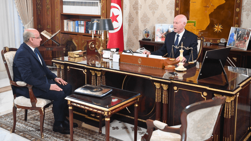 قيس سعيّد: تونس لن تكون معبرا أو مقرّا للمهاجرين غير النظاميين