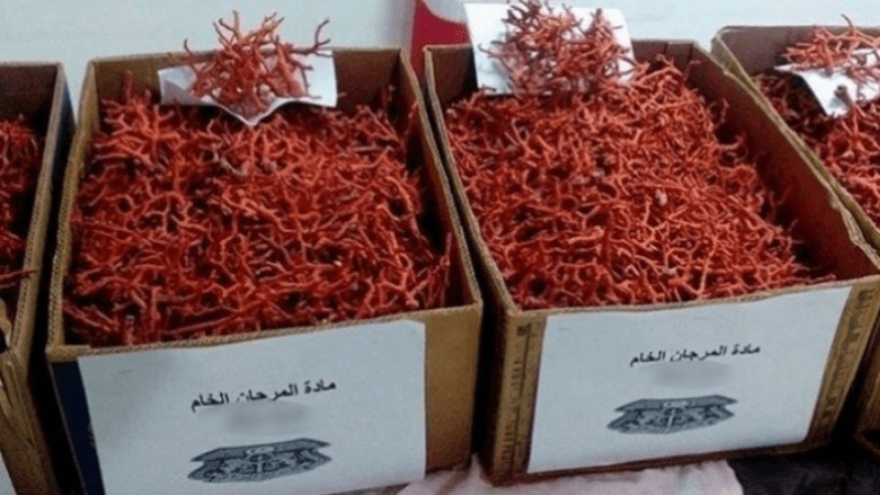 تأخير النظر في قضية 'تهريب المرجان' إلى جوان