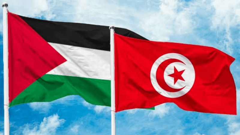 ONU: La Tunisie dénonce les crimes continus contre les Palestiniens
