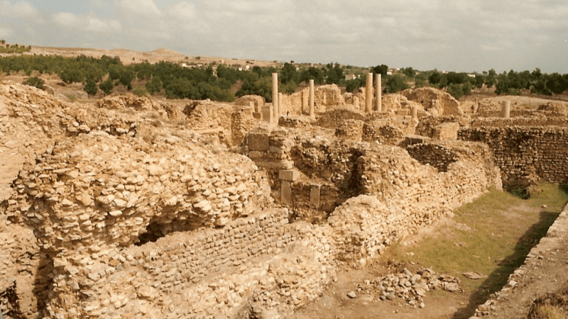 اكتشاف أثري جديد بمدينة سبيبة من ولاية القصرين